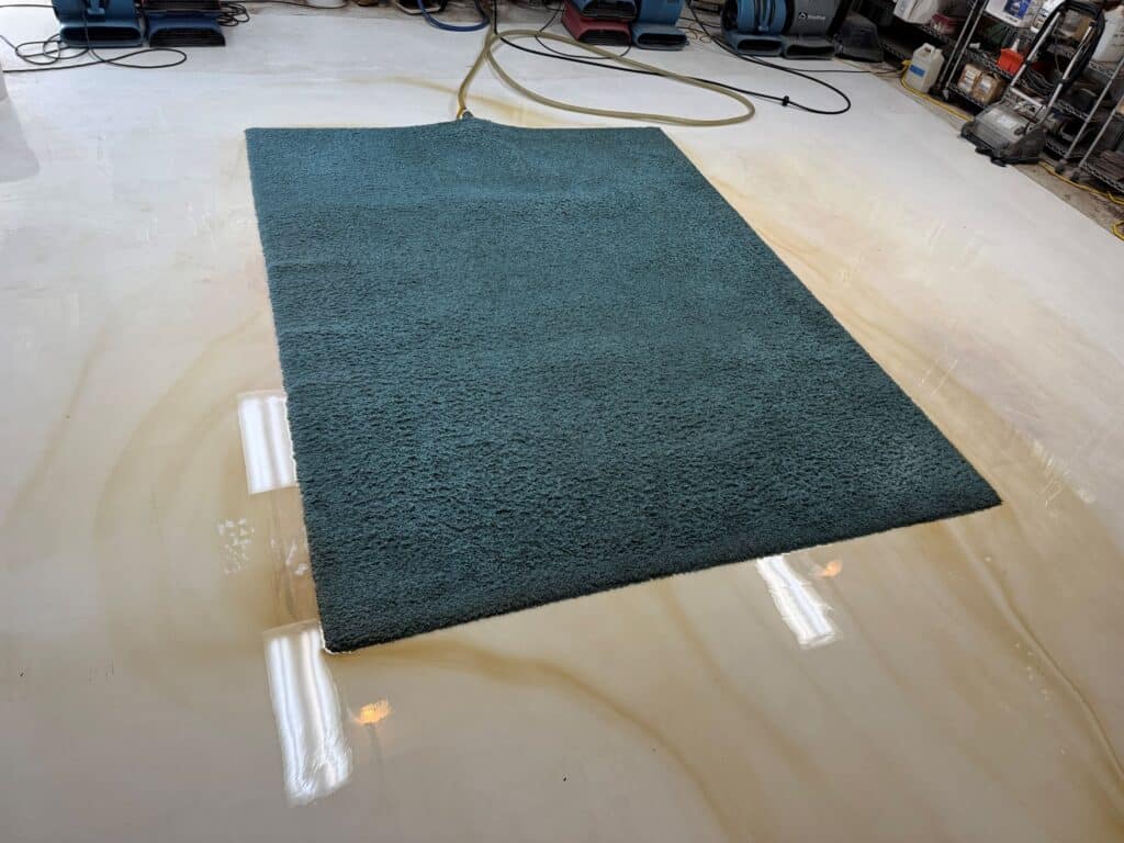 Pet Urine Rug Cleaning El Paso - FiberCare